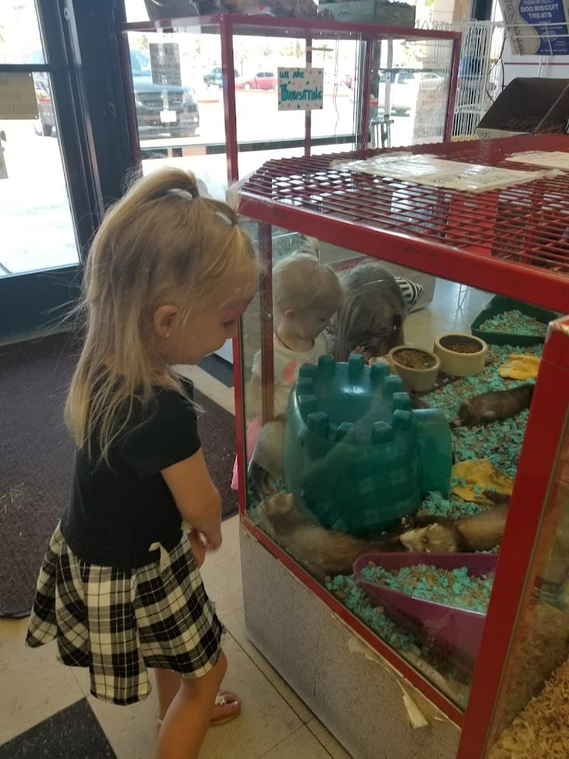 Pet Kingdom photo 2