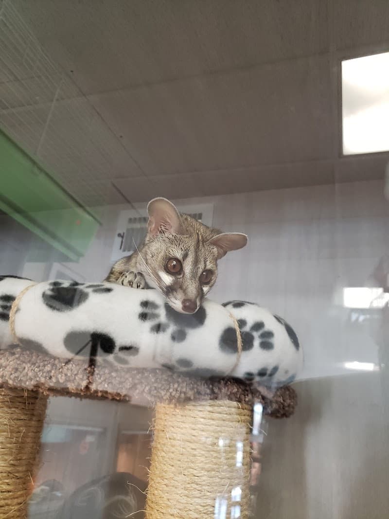 Pet Kingdom photo 3
