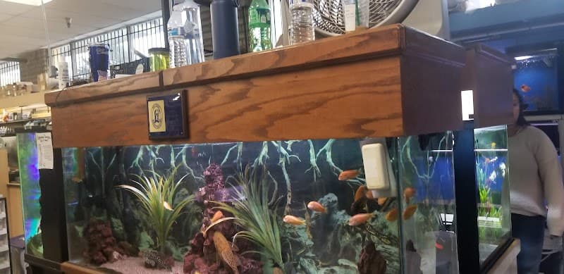 Pet Kingdom