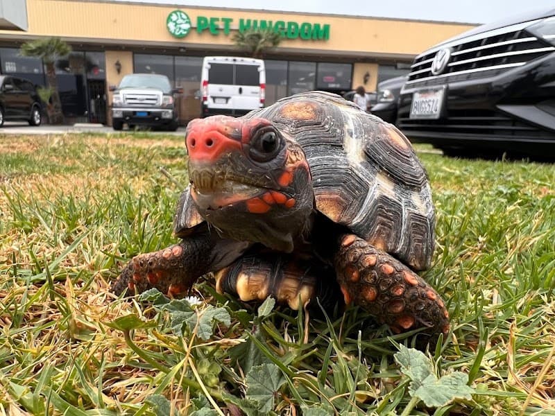 Pet Kingdom photo 2