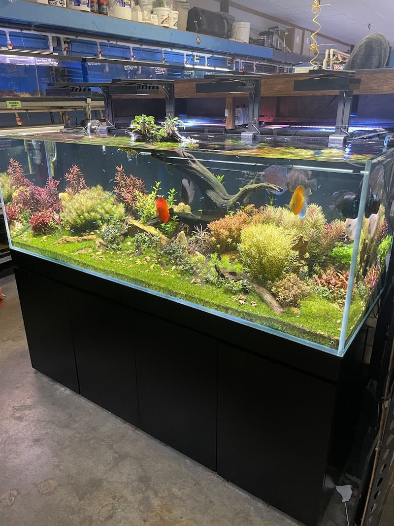 Pet Kingdom photo 3