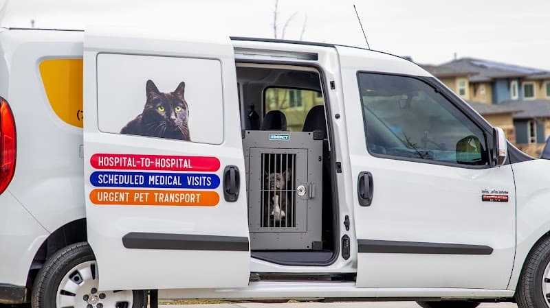 Pet Medical Transport photo 4