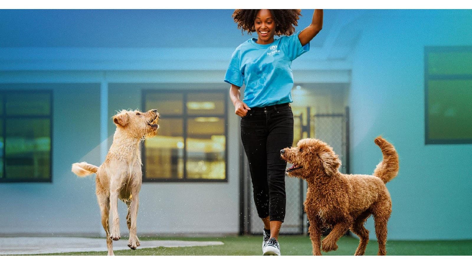 Pet Paradise Atlanta