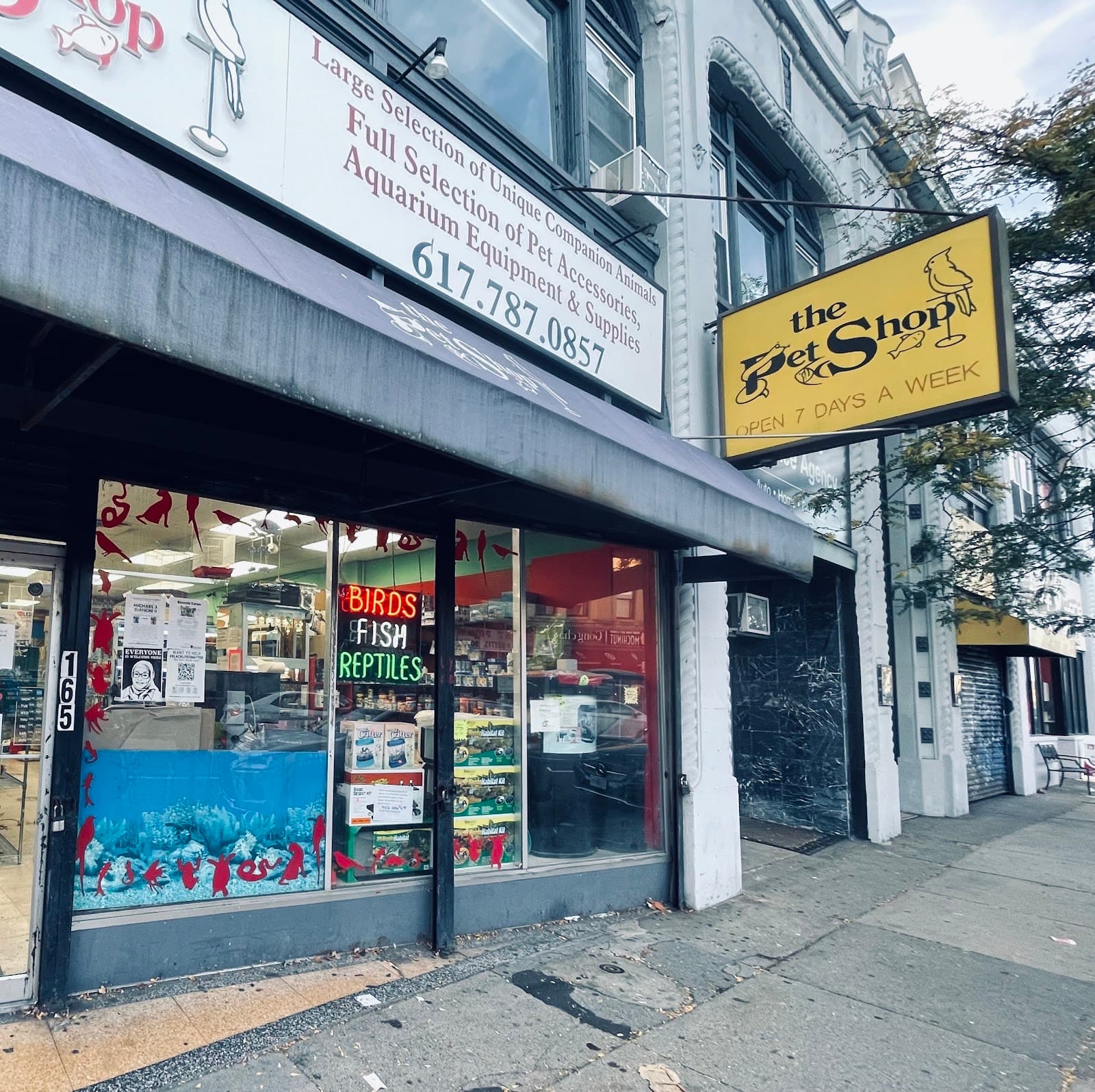 Pet Shop