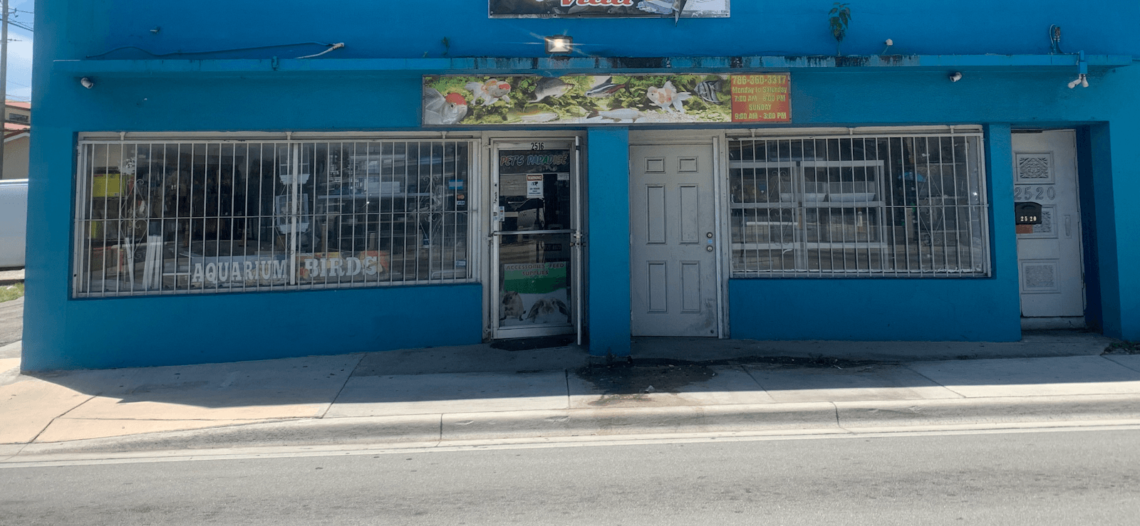 Pet Shop EddyRolex Dj Corp