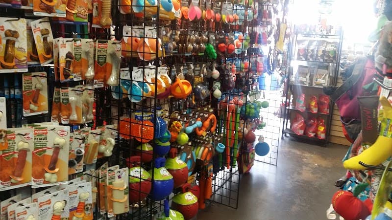 Pet Station photo 4