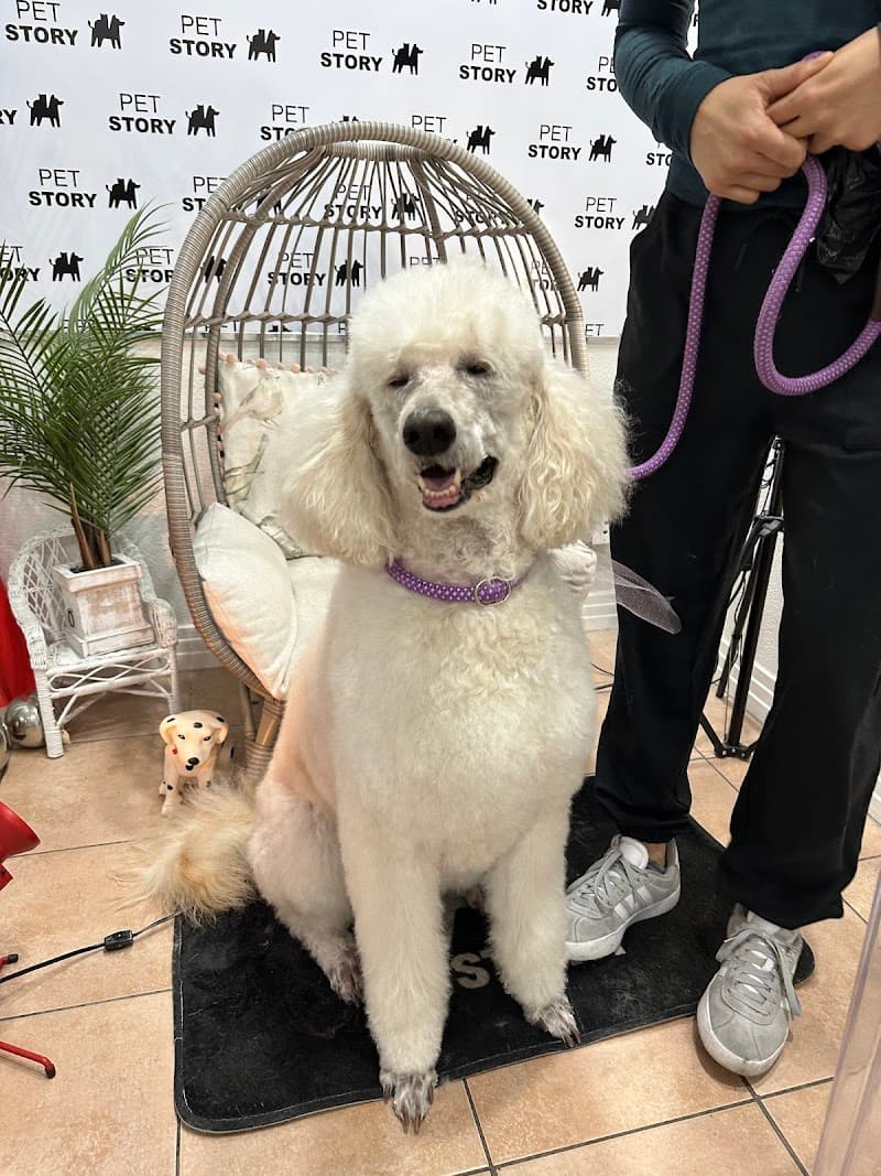 Pet Story photo 2