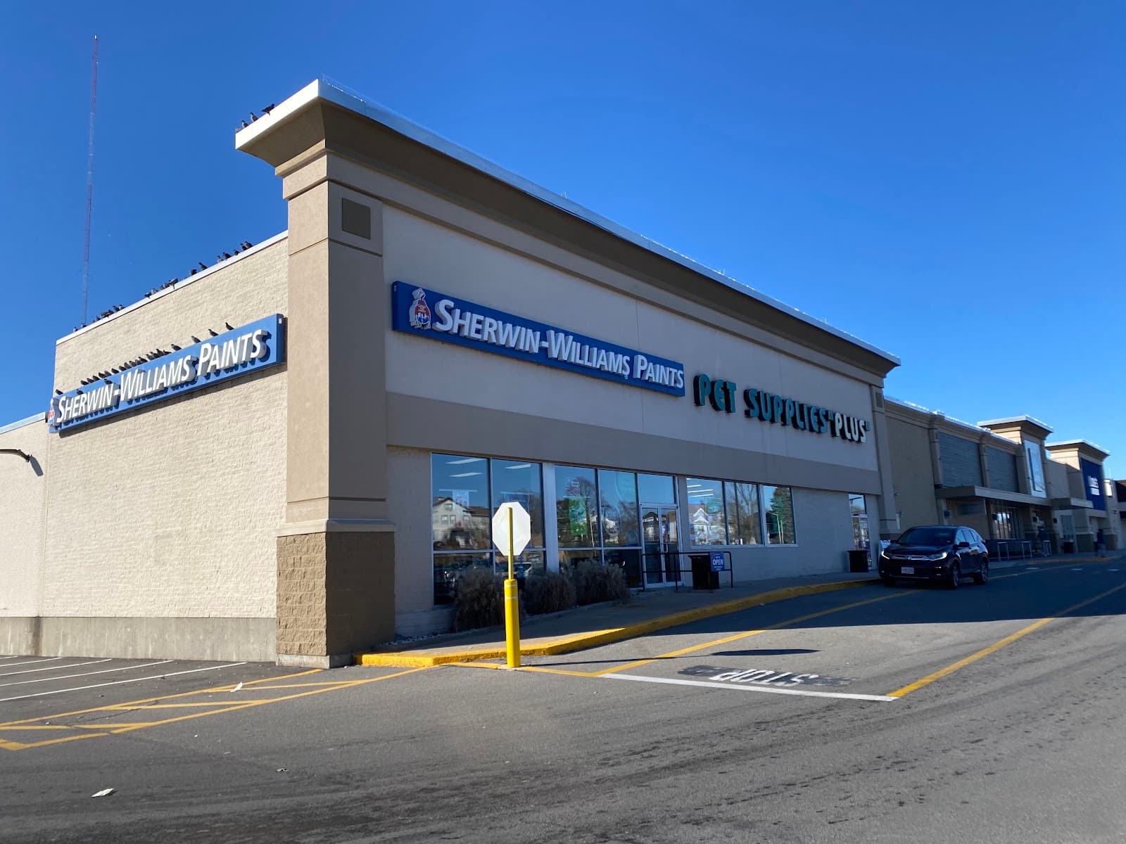 Pet Supplies Plus Medford