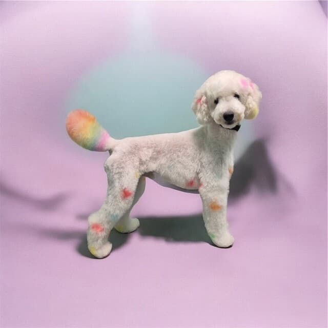 Pet Supplies Plus South Portland Grooming