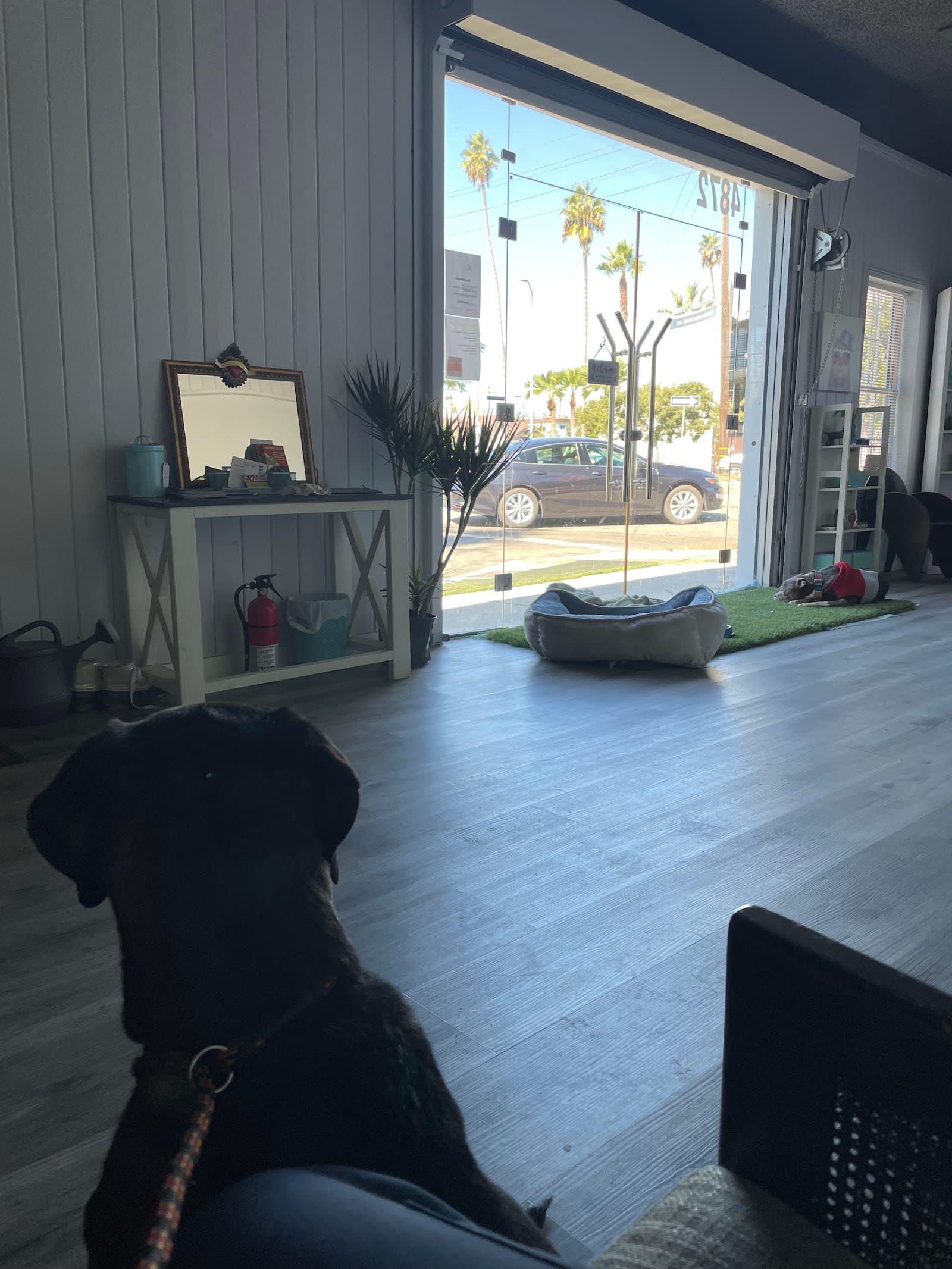 PetCare LB