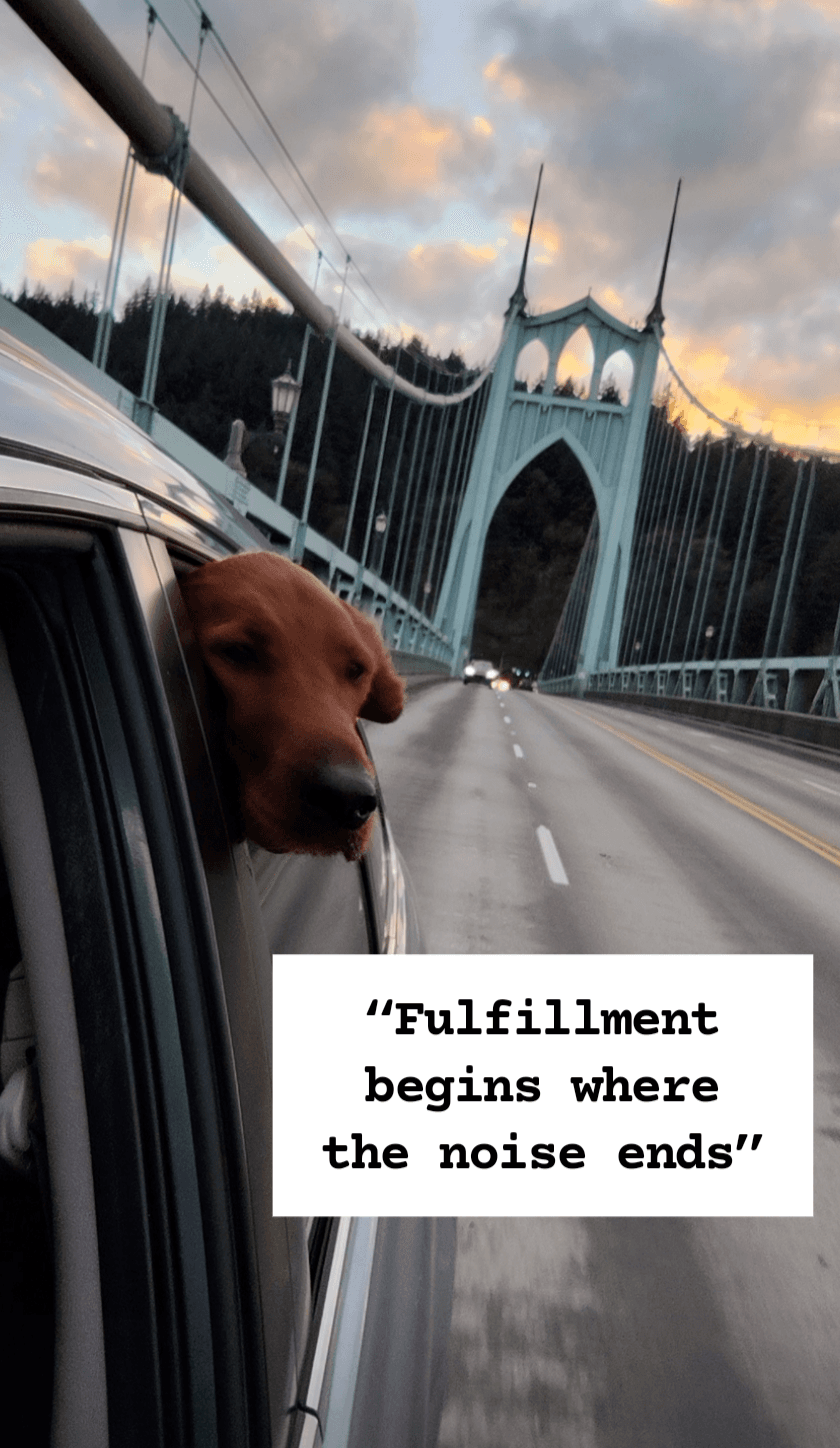 PetFriendly Portland Adventures