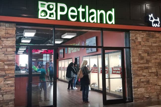 Petland Mall of Georgia