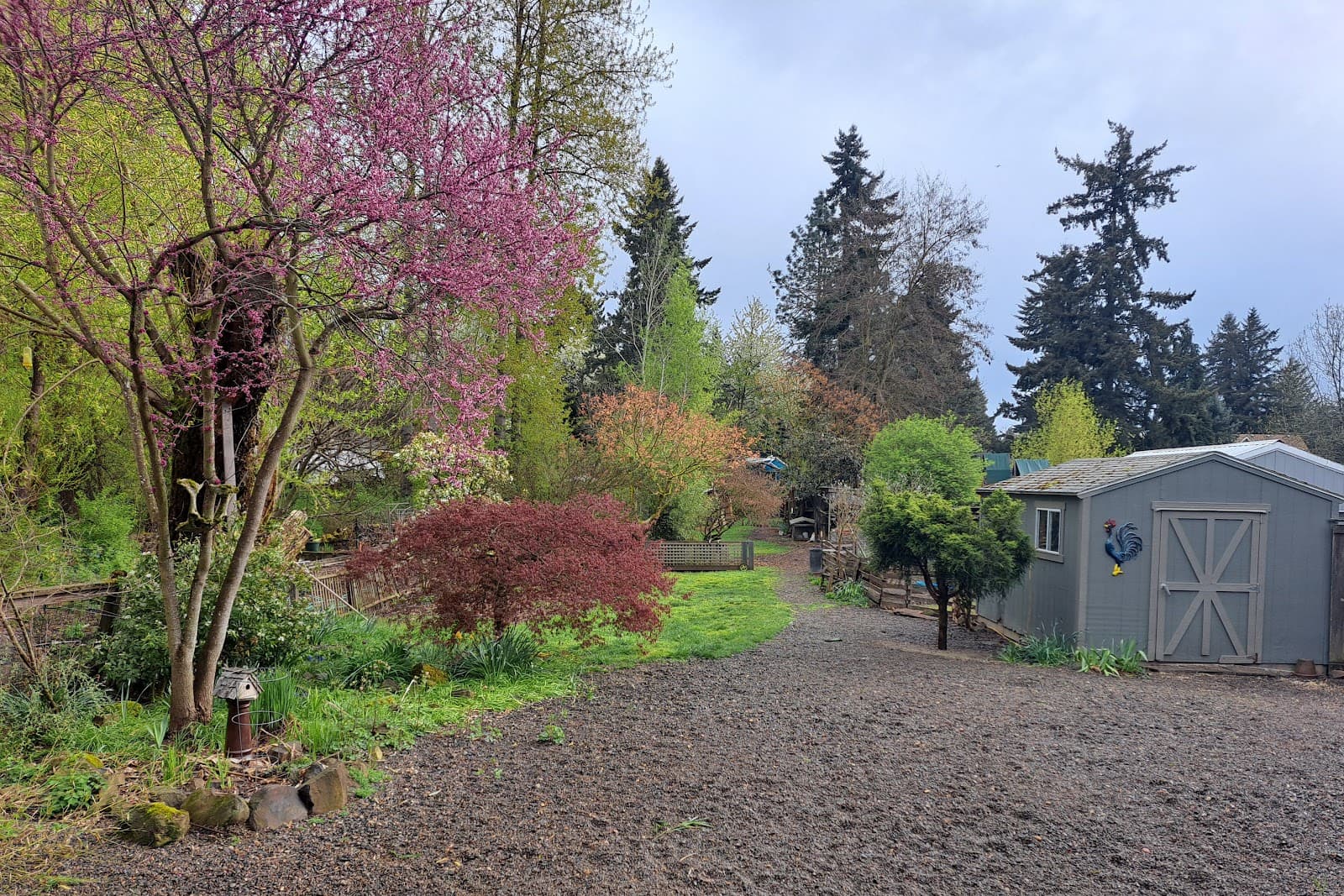 Petlandia Pet Care