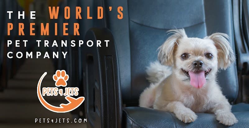 Pets 4 Jets LLC