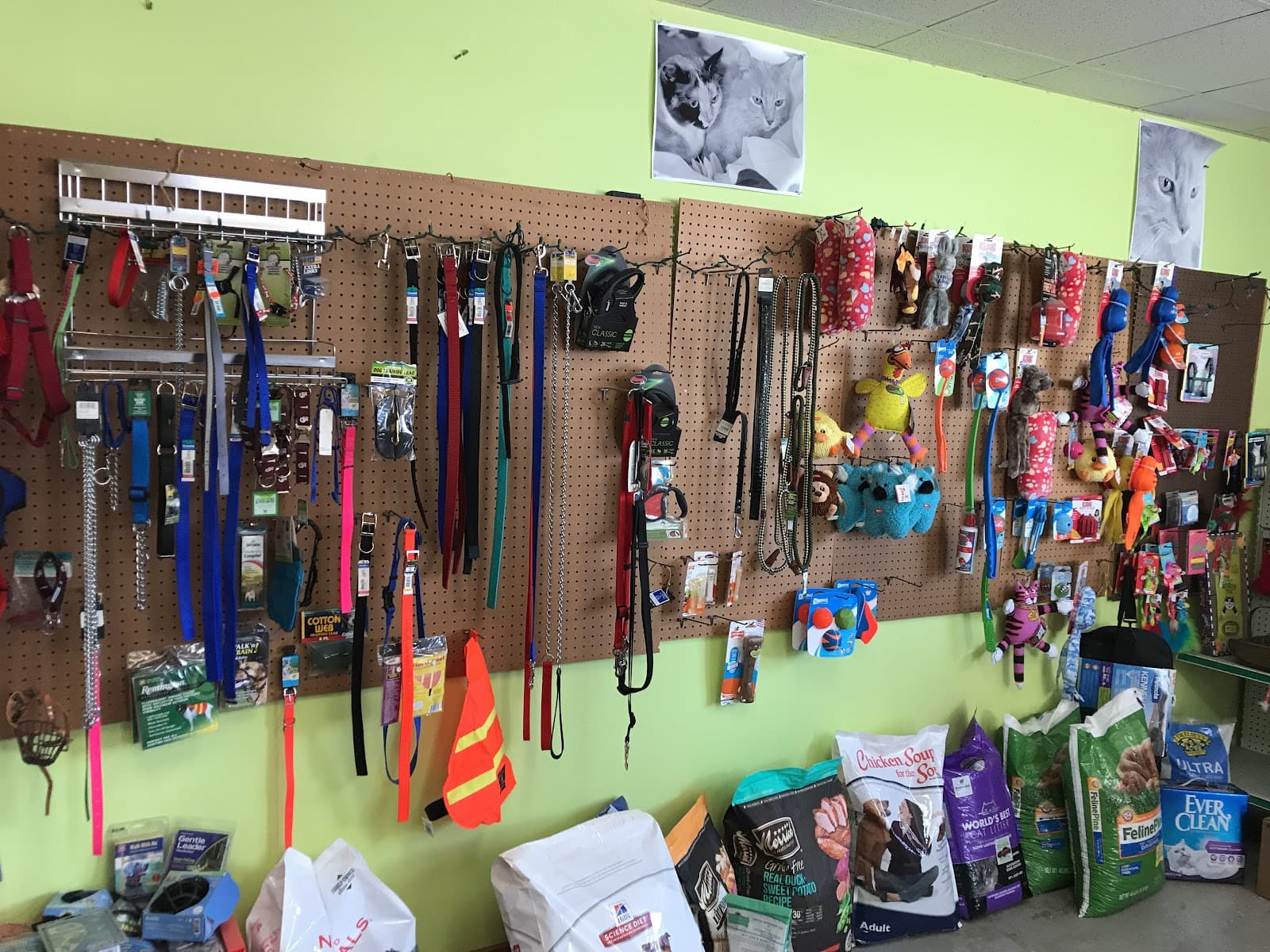 Port Grooming & Pet Care
