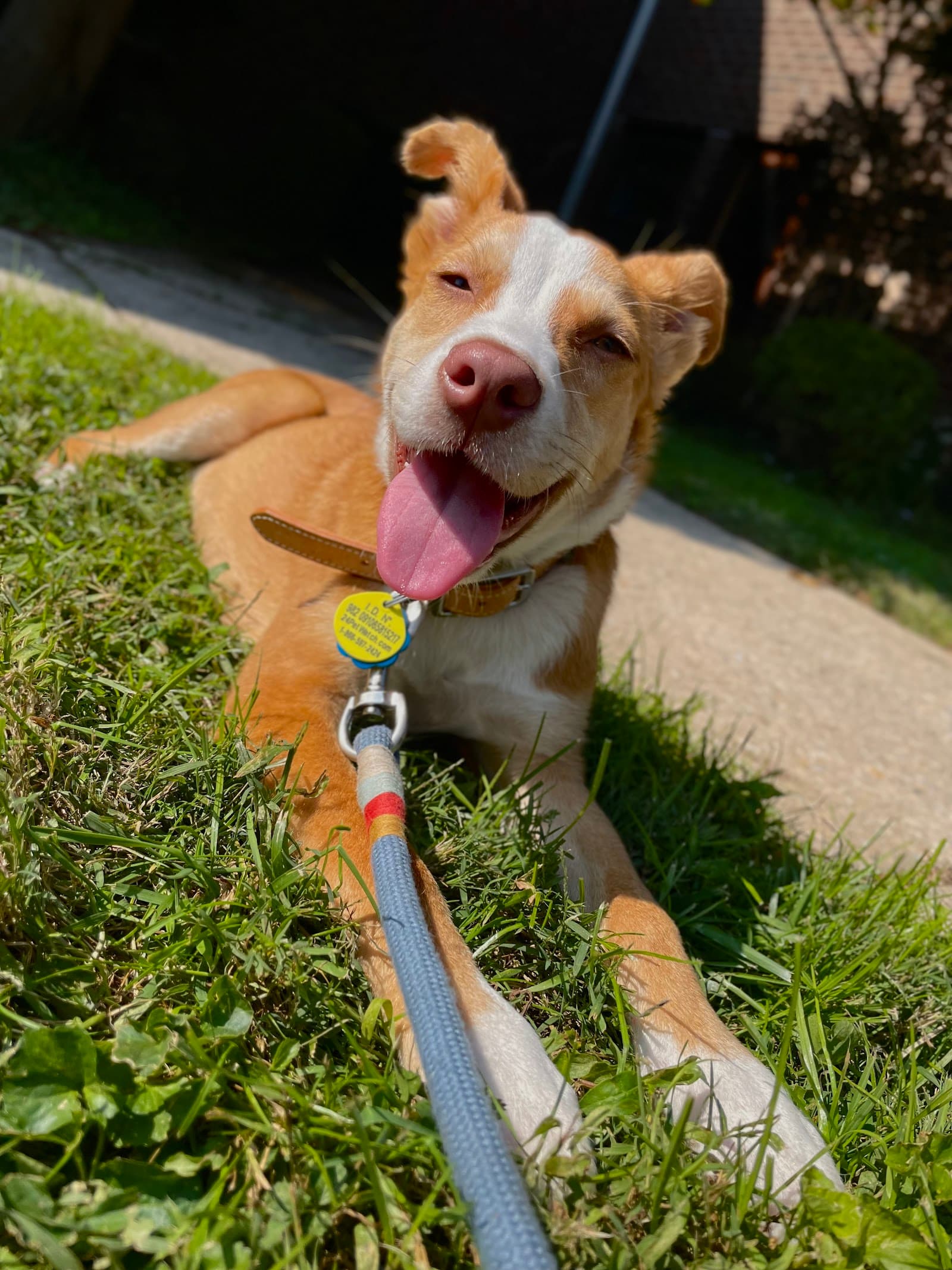 Providence Animal Center