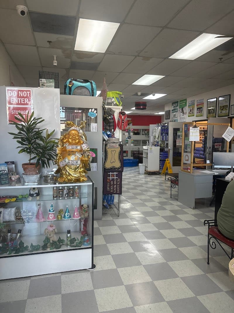 Puppy Boutique Las Vegas photo 2