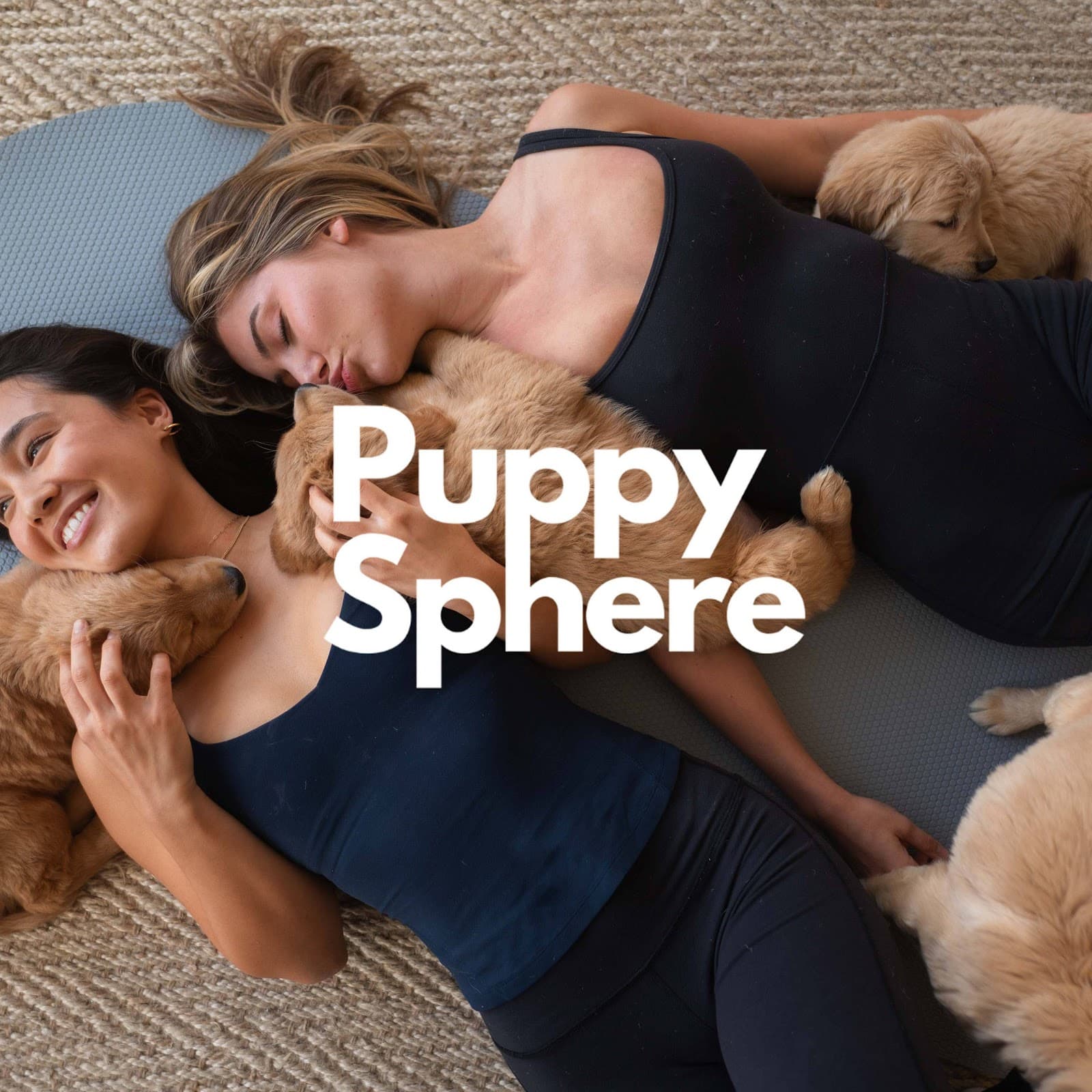 Puppy Sphere | Puppy Yoga (West Town)