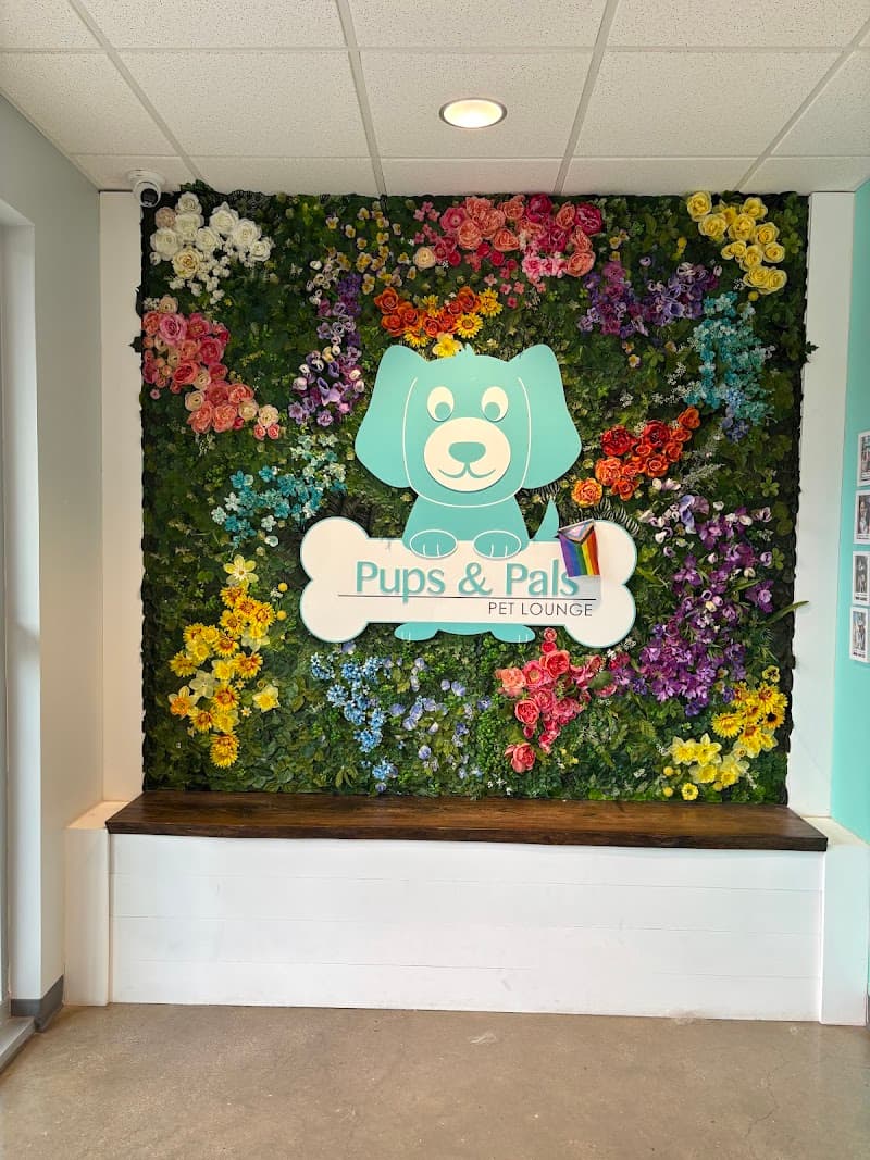 Pups & Pals Pet Lounge photo 3