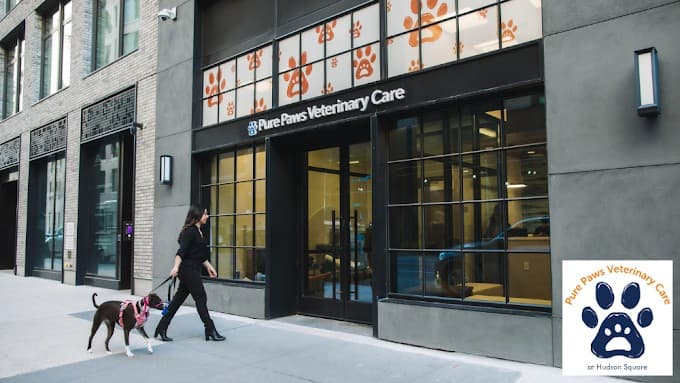 Pure Paws Veterinary Care of Hudson Square