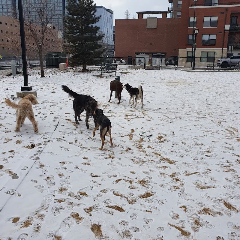 Rail Yard Dog Park photo 3