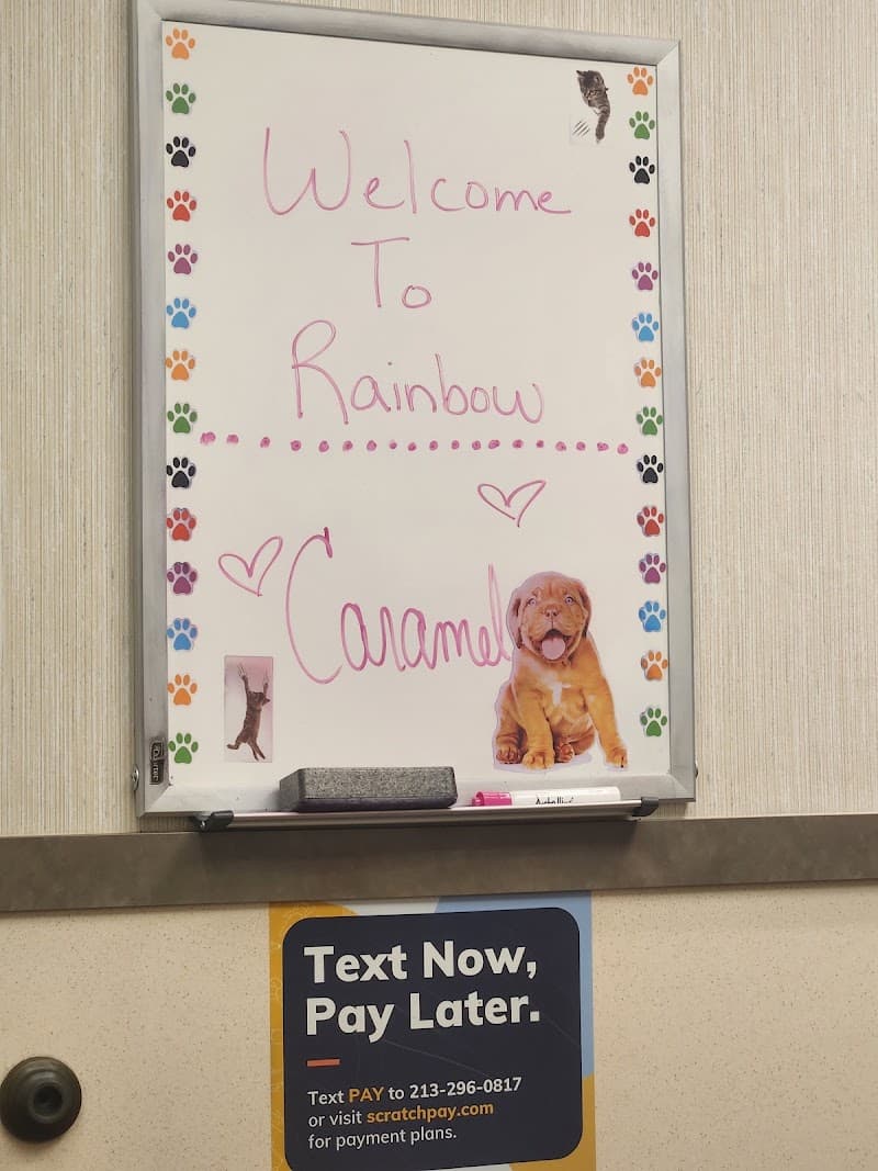 Rainbow Animal Hospital photo 3