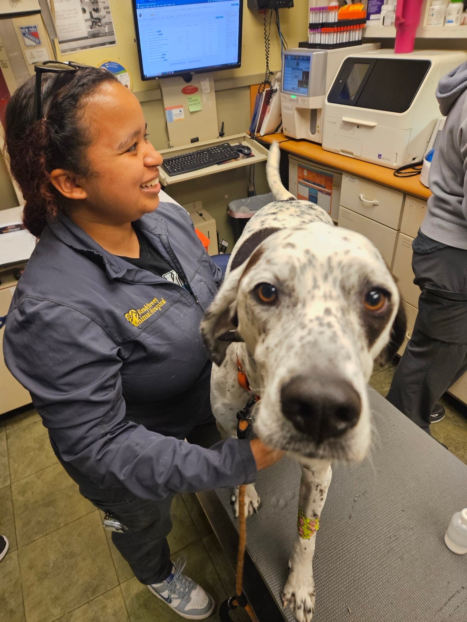 Reade Street Animal Hospital, A Thrive Pet Healthcare Partner