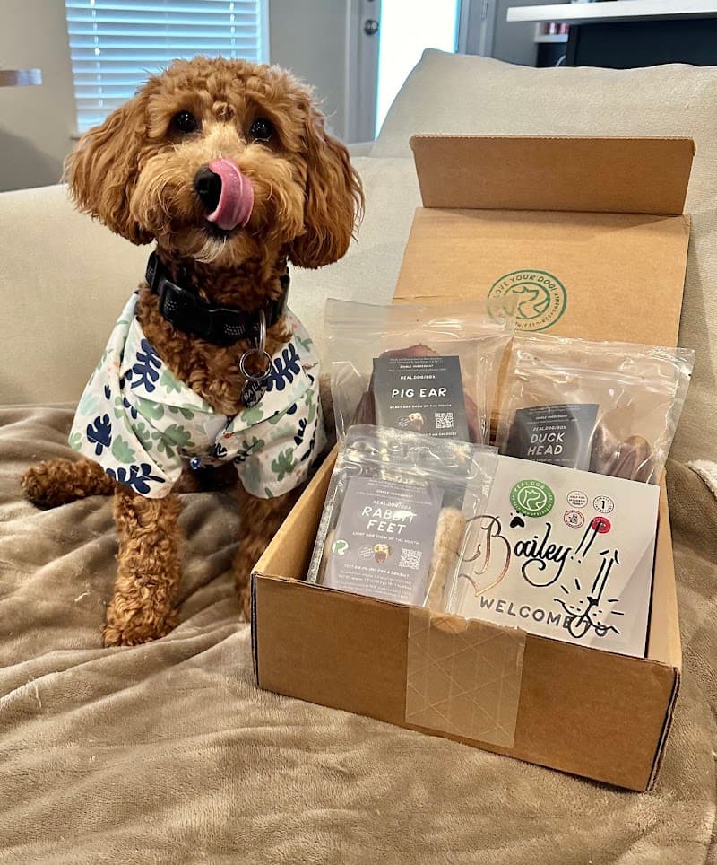 Real Dog Box photo 2