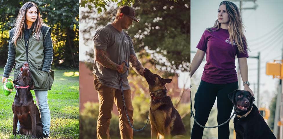 Ridgeside K9 Tampa Dog Training