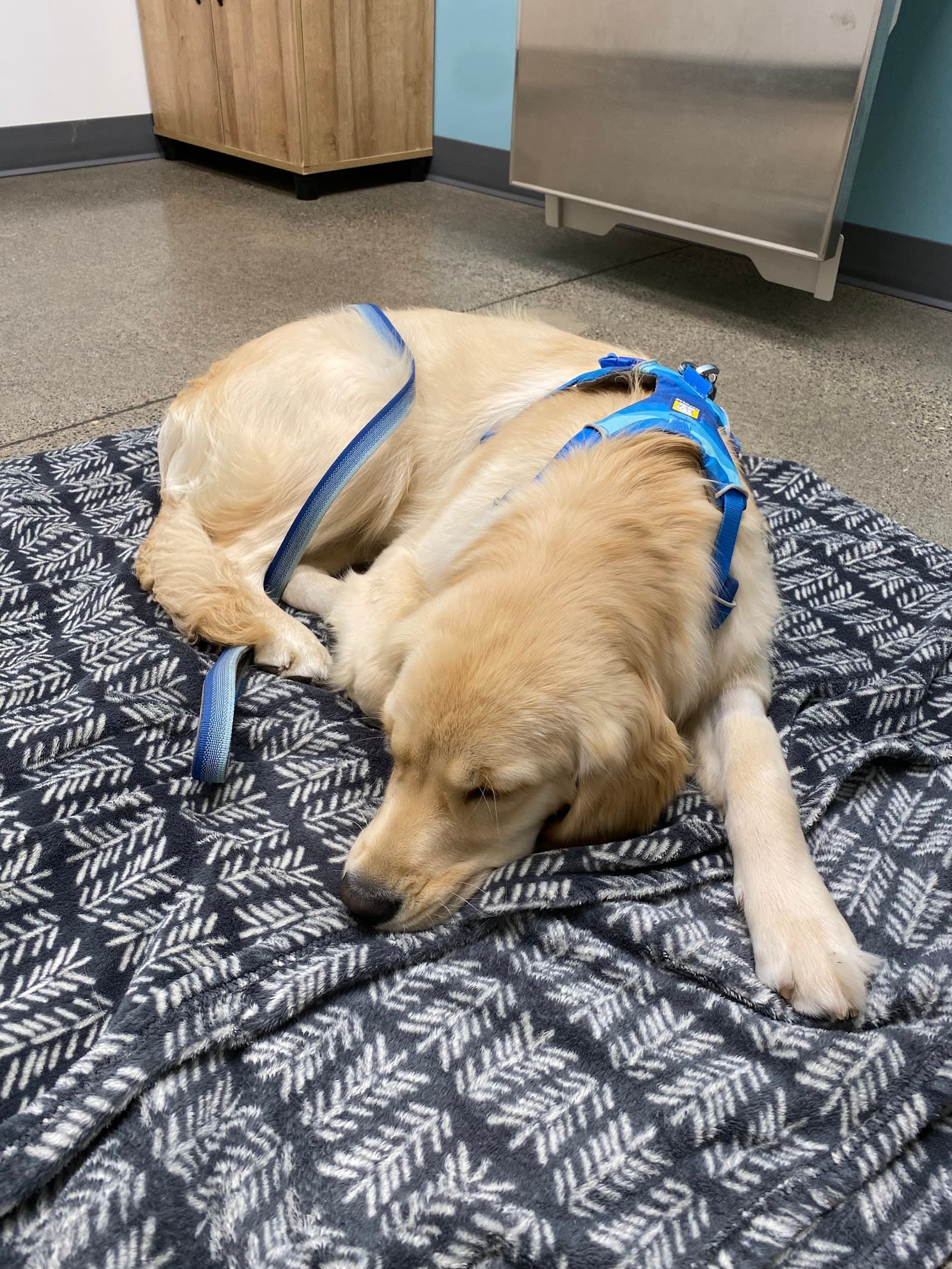 Riverbend Veterinary Care