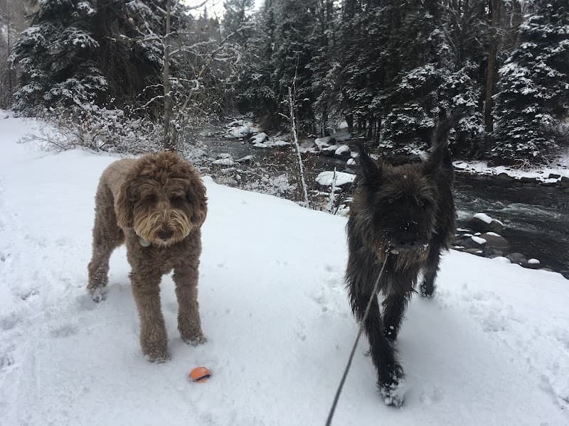 Roaring Fork Animal Rehabilitation & Fitness photo 2
