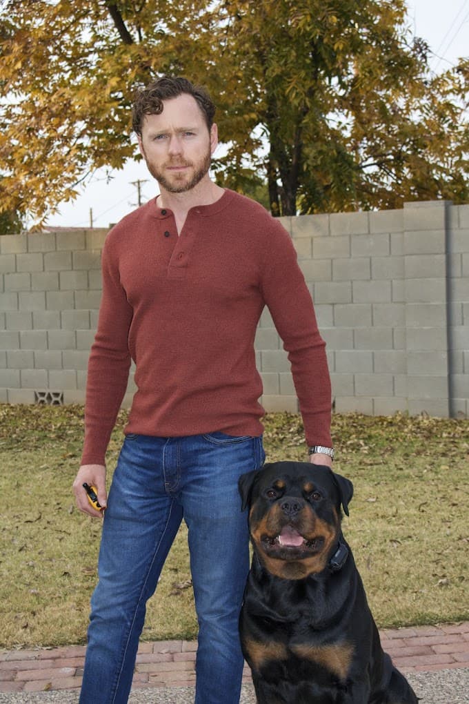 Rob's Dogs (Dog Training)