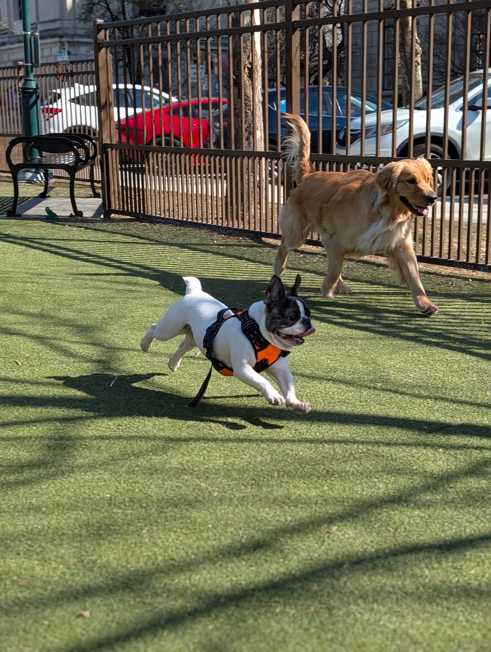 Rob Stuart Memorial Dog Park