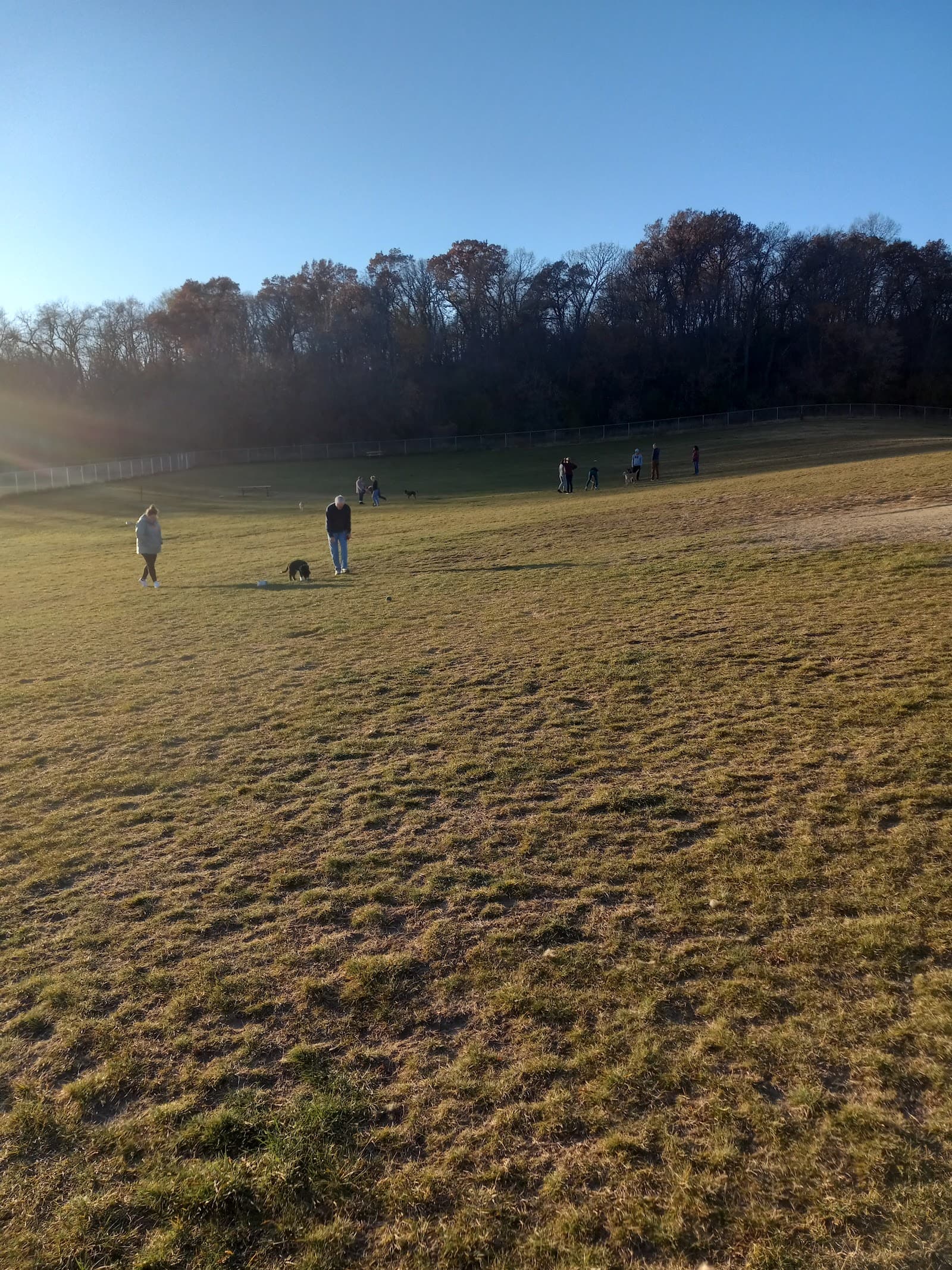 Rochester Dog Park - North