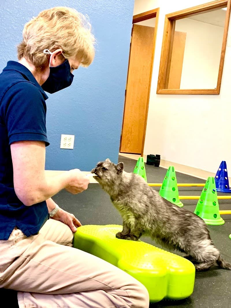Rocky Mountain Veterinary Rehabilitation photo 6