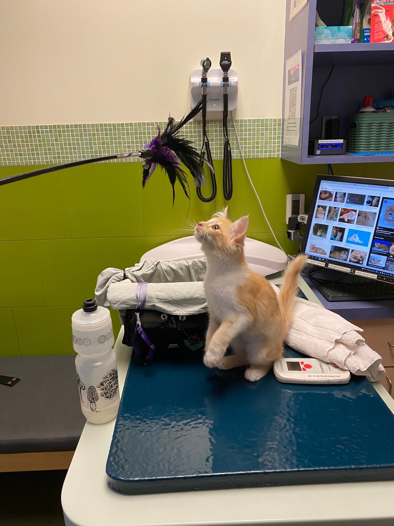 Rose City Veterinary Hospital