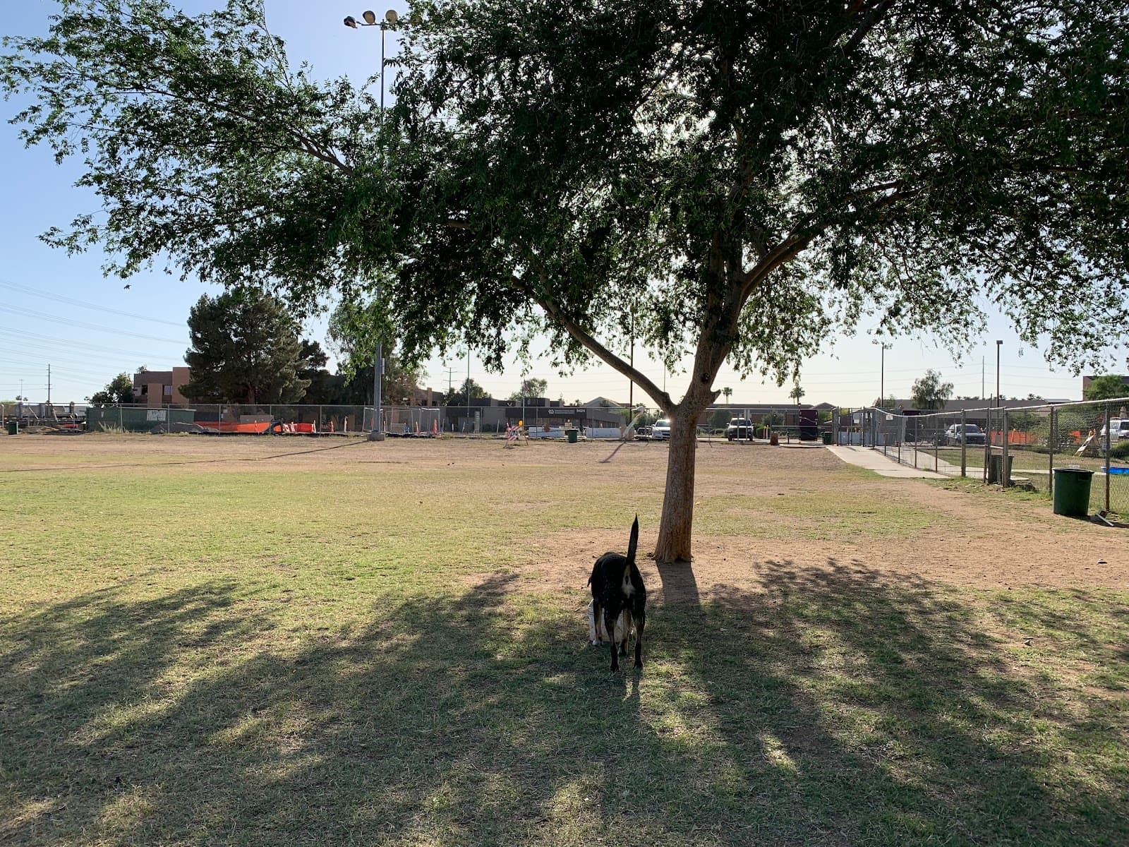 Rose Mofford Dog Park