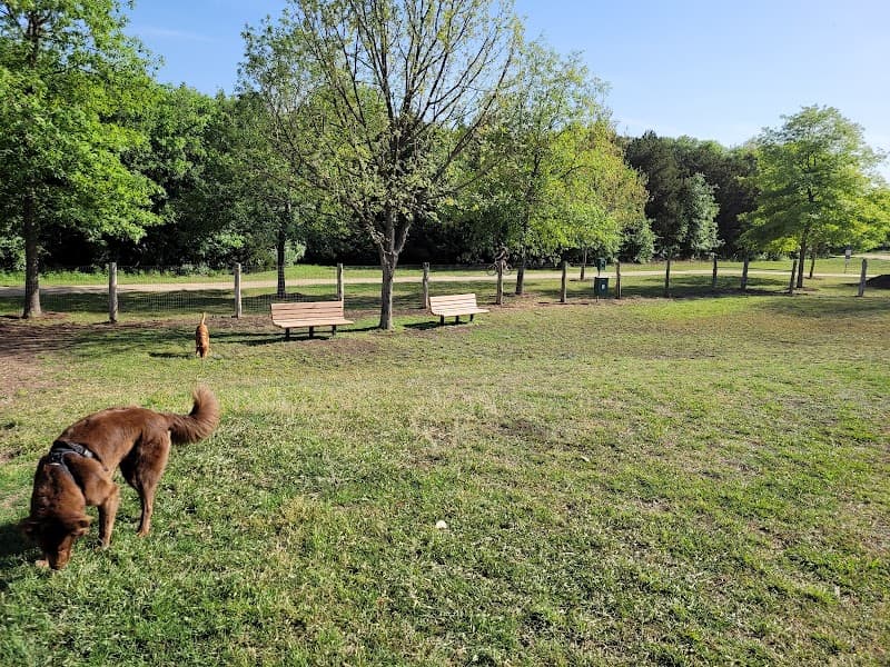 Round Rock Dog Depot