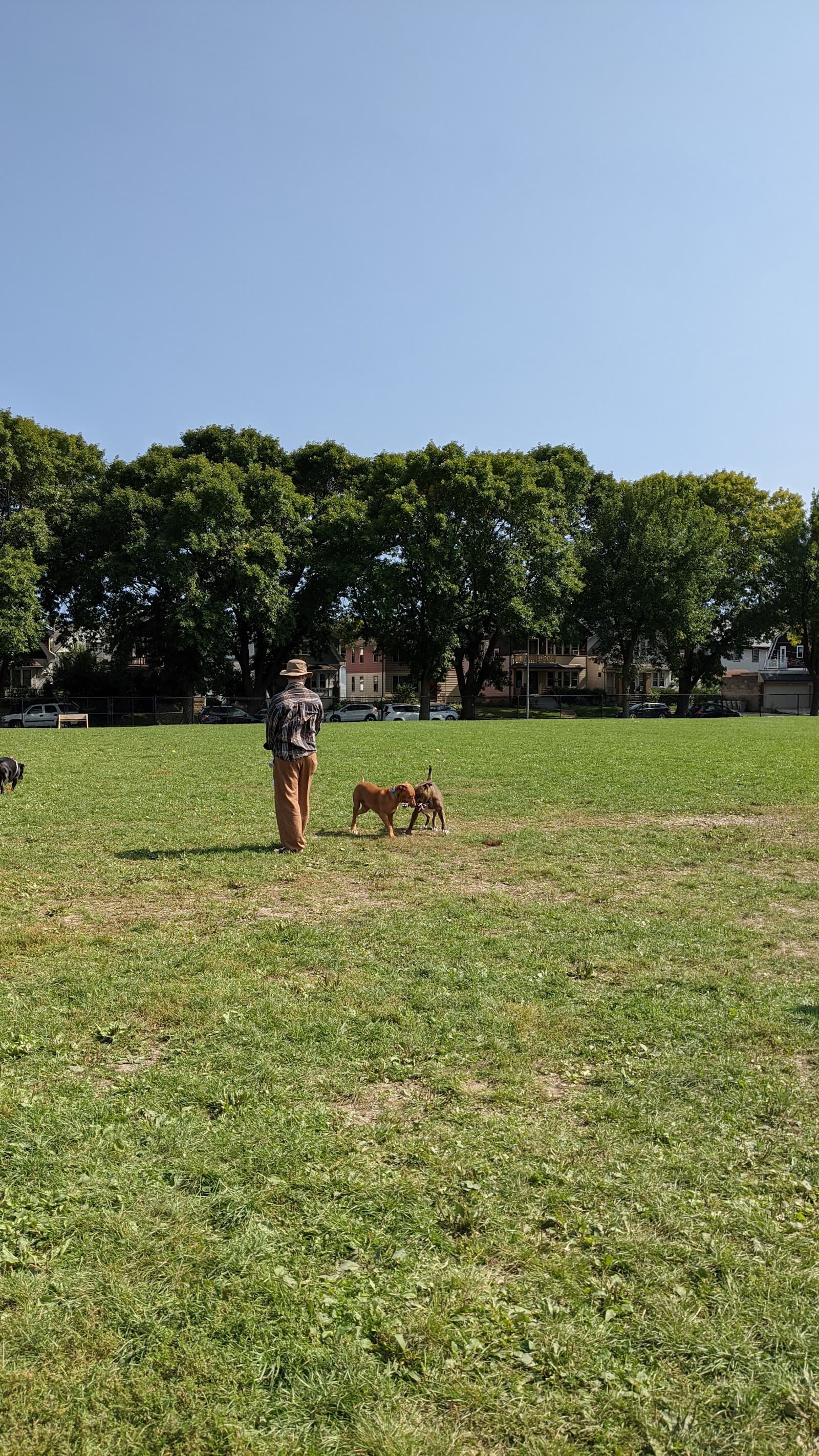 Roverwest Dog Park