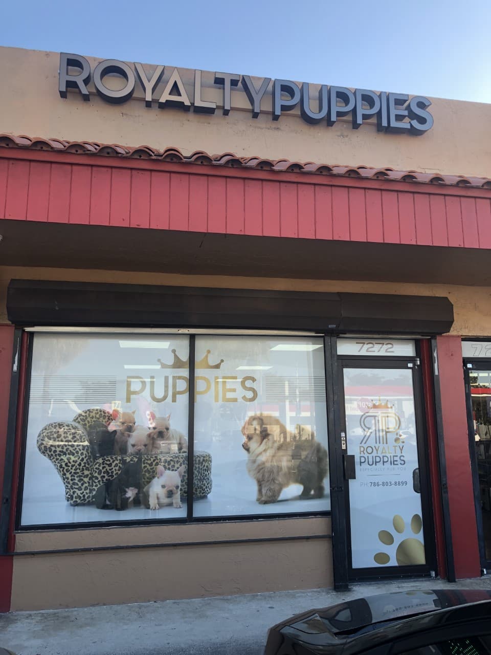 Royalty Puppies