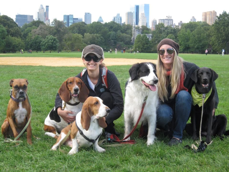 RuffCity Dog Walking