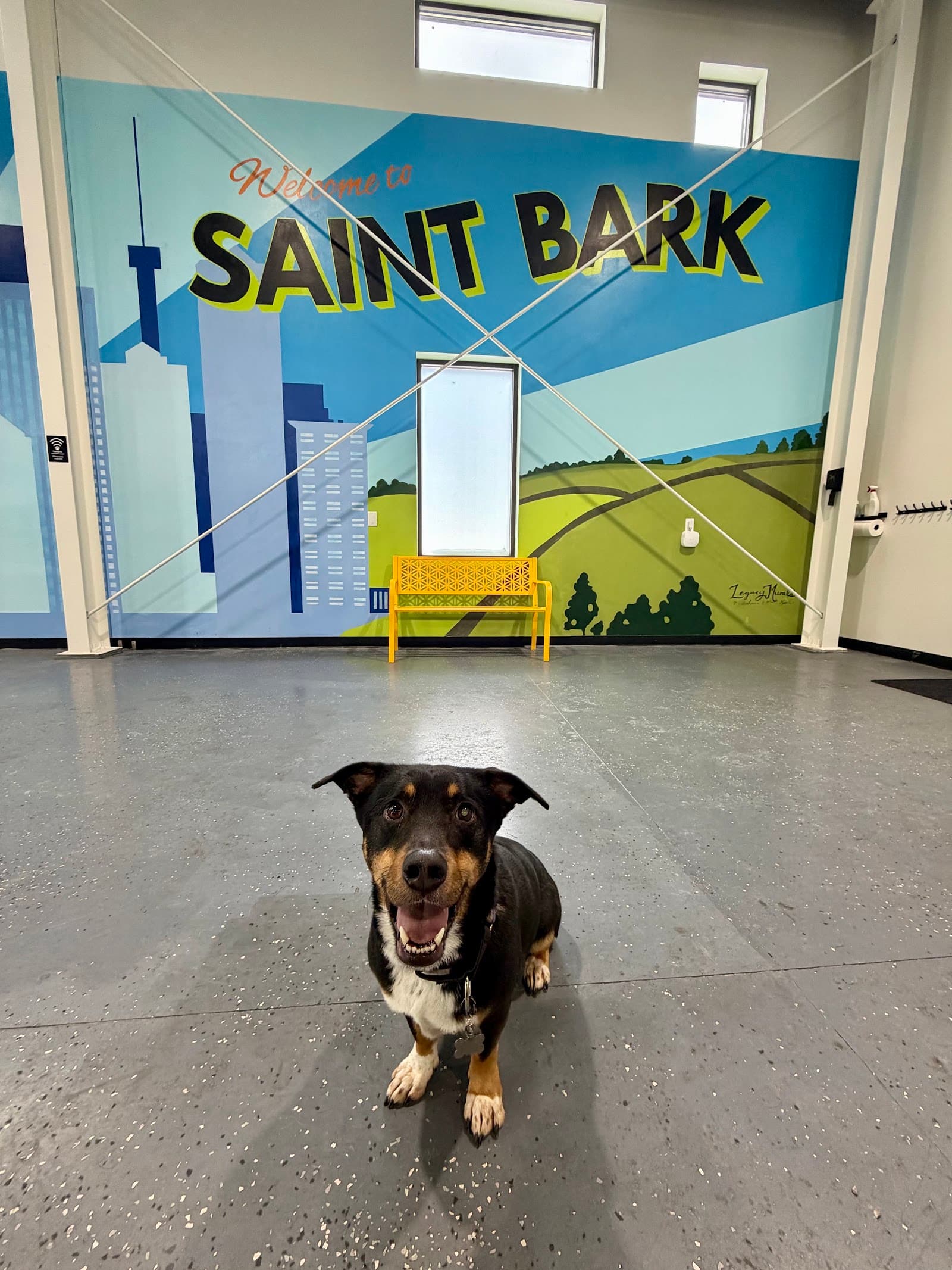 Saint Bark