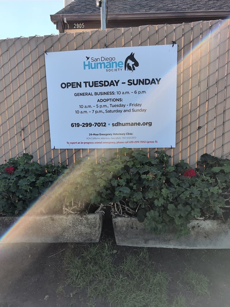 San Diego Humane Society's Oceanside Campus (Dogs) photo 3