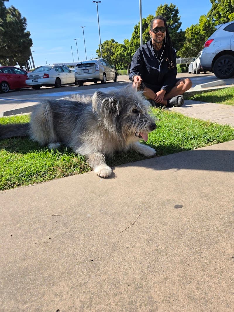 San Diego Pet Boarding