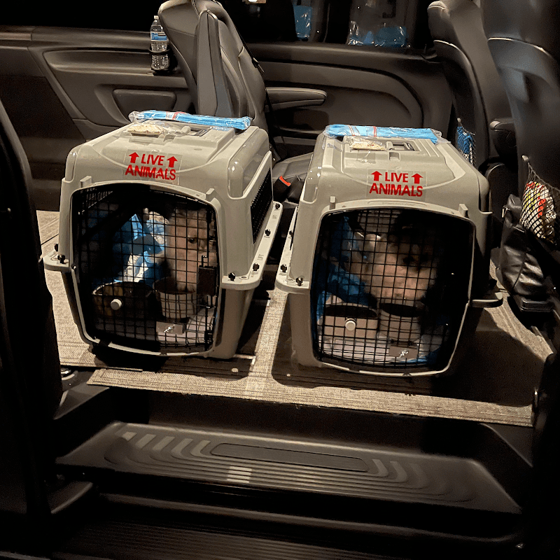 San Diego Pet Driver photo 3