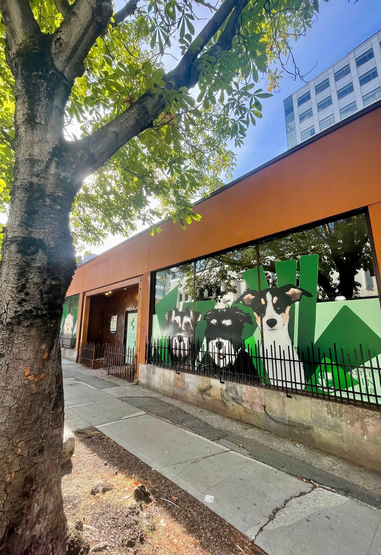 Seattle Canine Club - South Lake Union