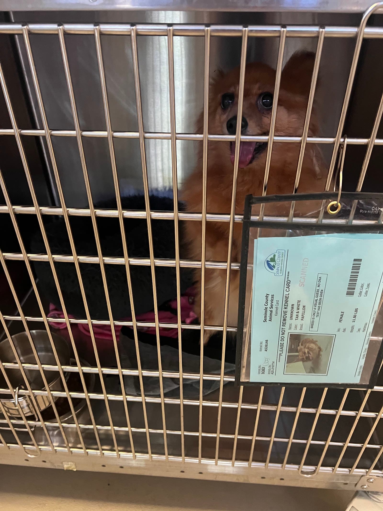 Seminole County Animal Services