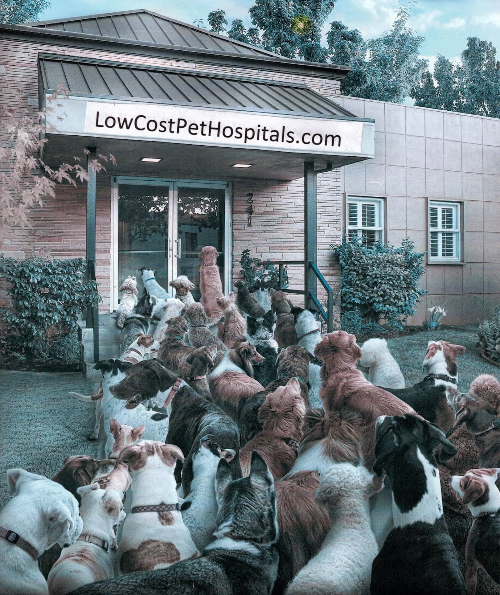 Semoran & 408 Pet Doc Hospital