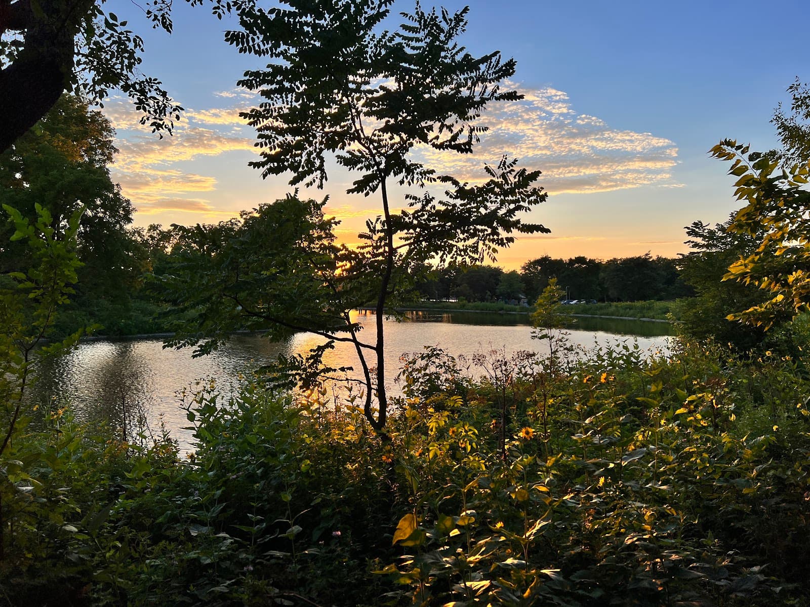 Silver Lake Park - East Shelter