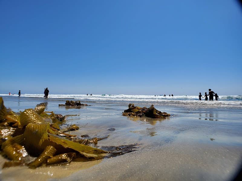 Silver Strand State Beach photo 3